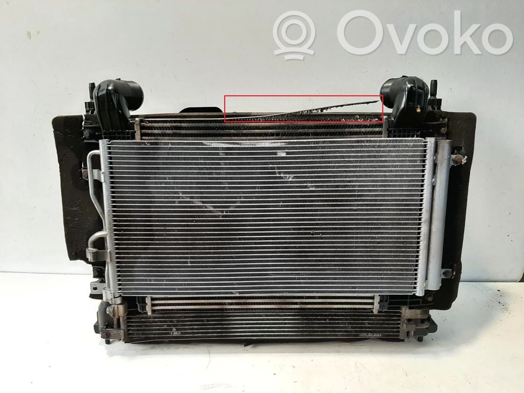 Opel Antara Radiator set 
