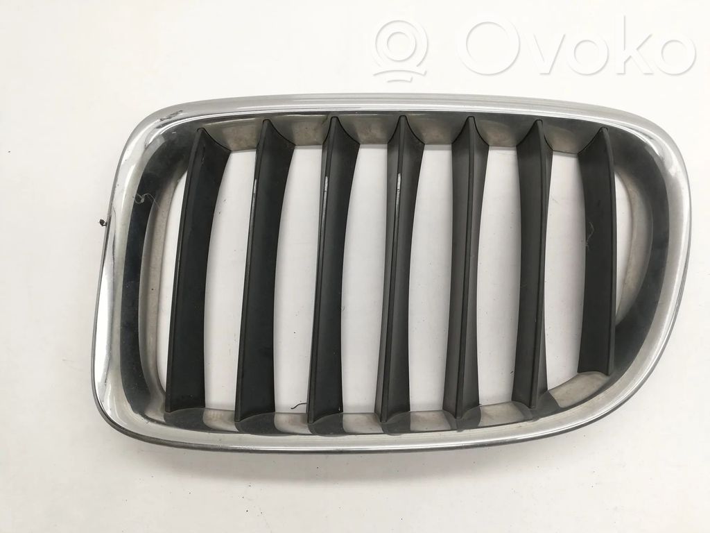 BMW X1 E84 Front grill 