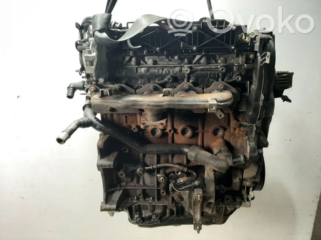 Ford Focus Motor 
