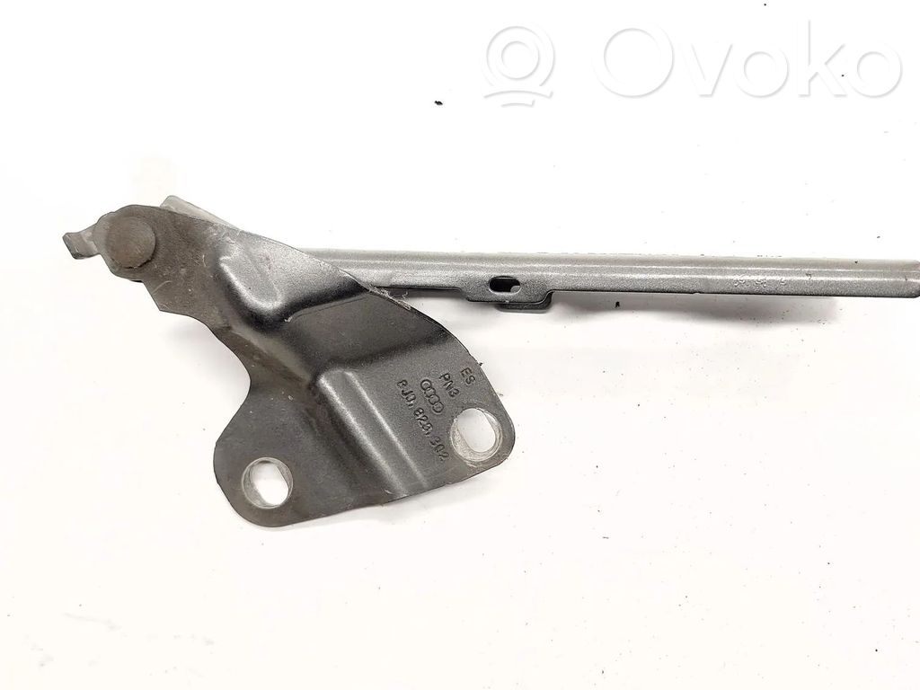 Audi Q3 8U Cerniere del vano motore/cofano