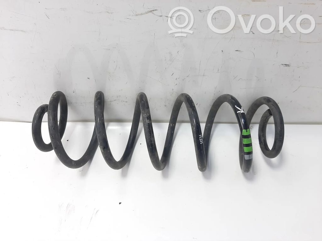 Muelle espiral trasero