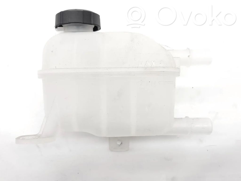 Hyundai Ioniq 5 Vase d'expansion / réservoir de liquide de refroidissement