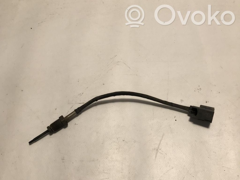 Ford Fiesta Išmetamųjų dujų temperatūros daviklis 