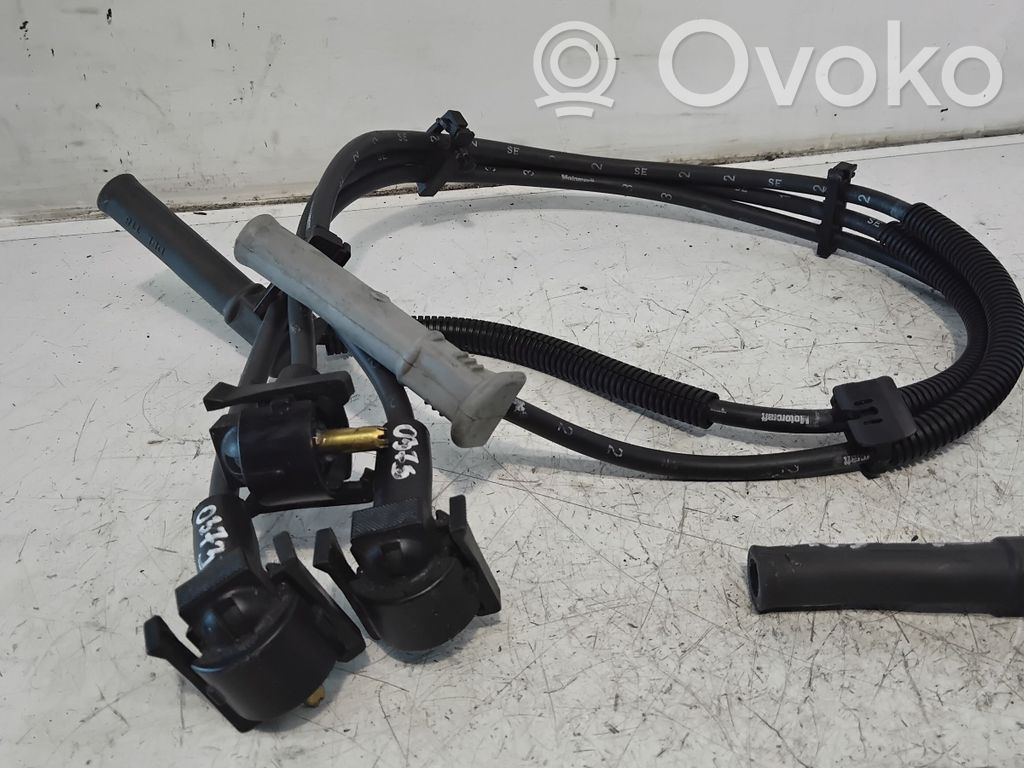 Ignition plug leads