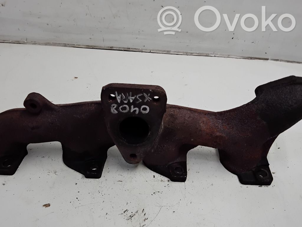 Kolektor wydechowy   251182