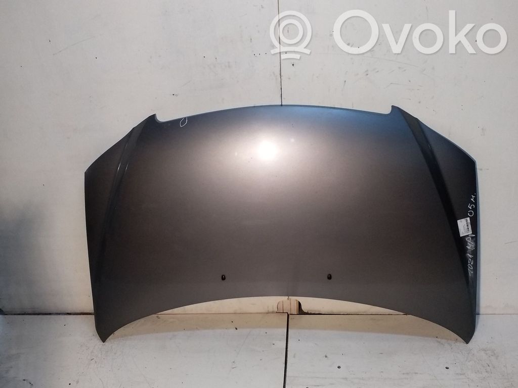 Motorhaube