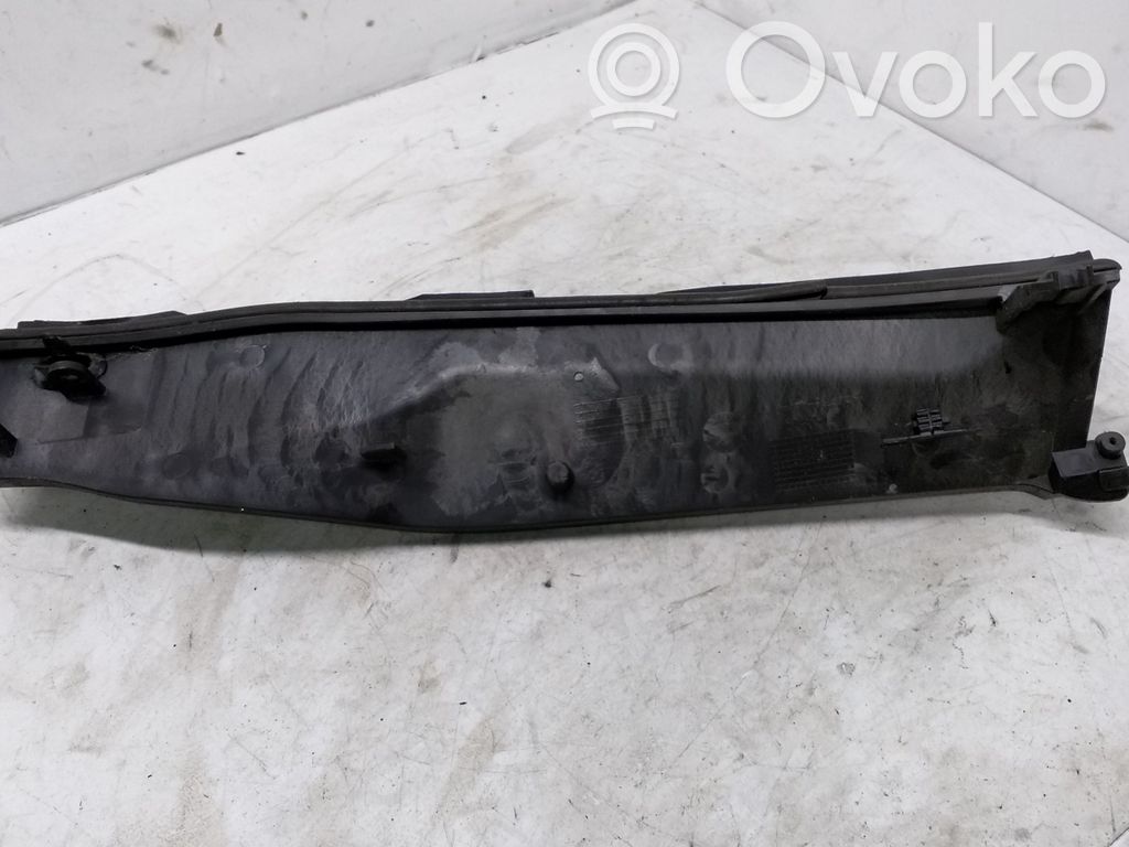 Moldura del limpia   6925974,6925973