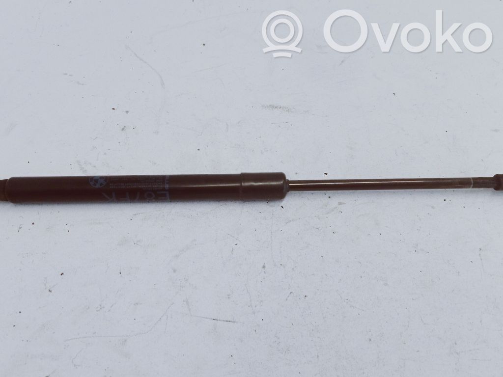 BMW 1 E82 E88 Ammortizzatore portellone anteriore/cofano