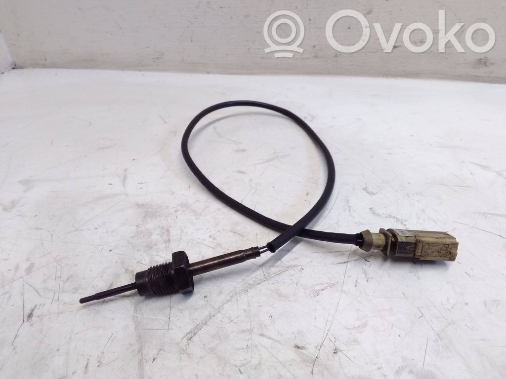 Volkswagen Sharan Išmetamųjų dujų temperatūros daviklis 