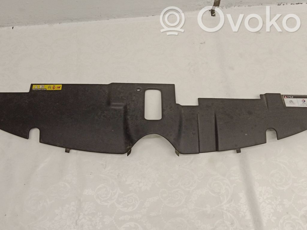 Citroen C4 II Picasso Rivestimento della modanatura della chiusura del vano motore/cofano