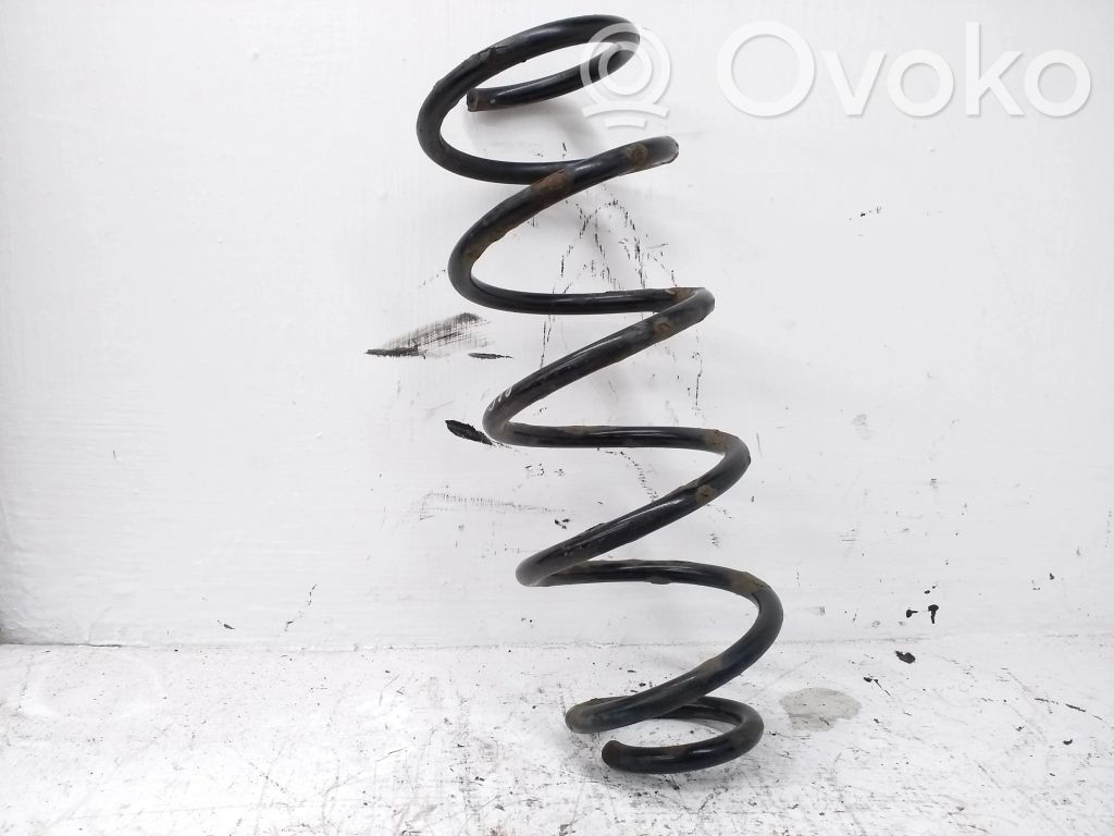 Rear coil spring