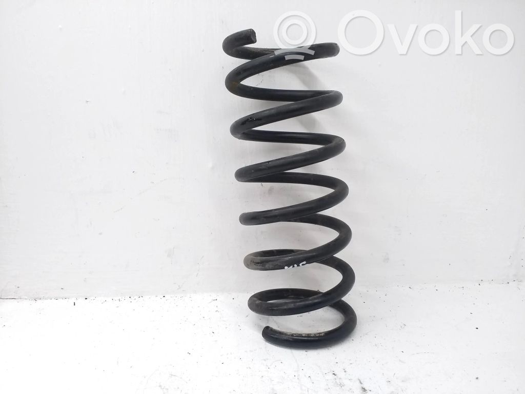 Rear coil spring