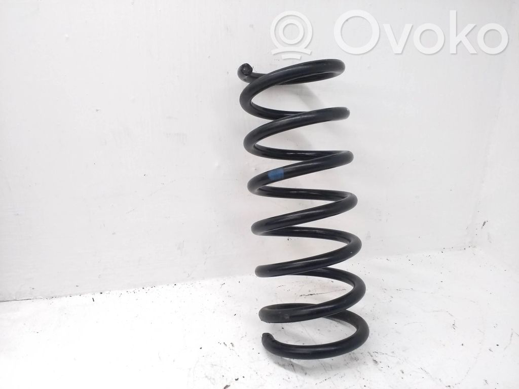 Rear coil spring