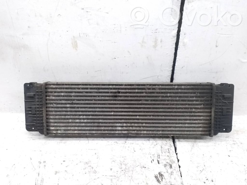 Mercedes-Benz Sprinter W906 Radiator intercooler 