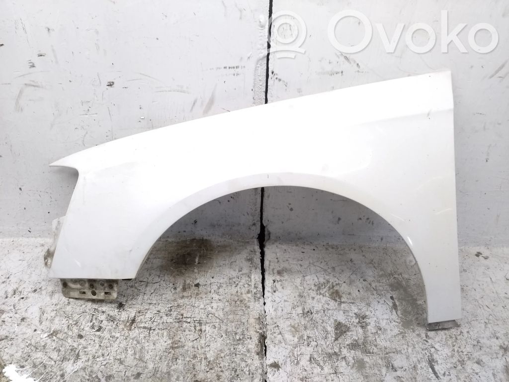Volkswagen PASSAT B6 Guardabarro 