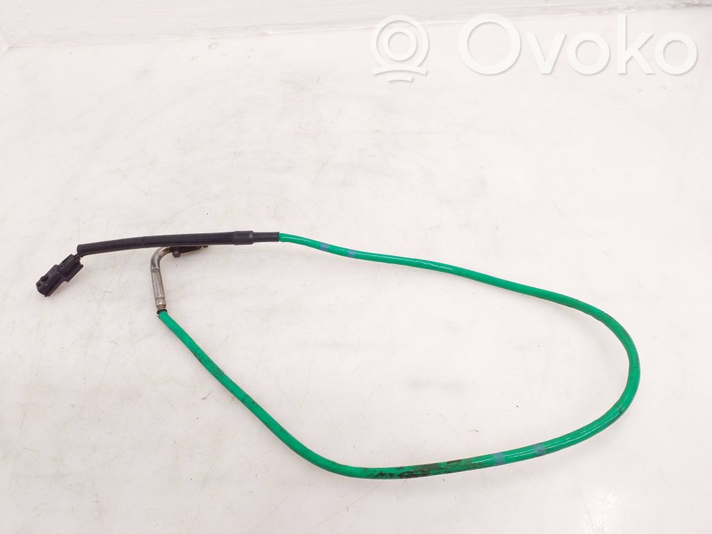 Nissan Qashqai Išmetamųjų dujų temperatūros daviklis 