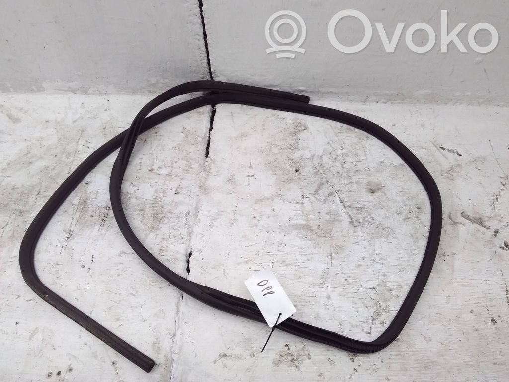 Nissan Qashqai Guarnizione in gomma portiera anteriore
