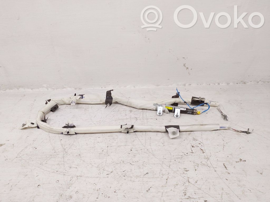 Tesla Model 3 Airbag del techo 