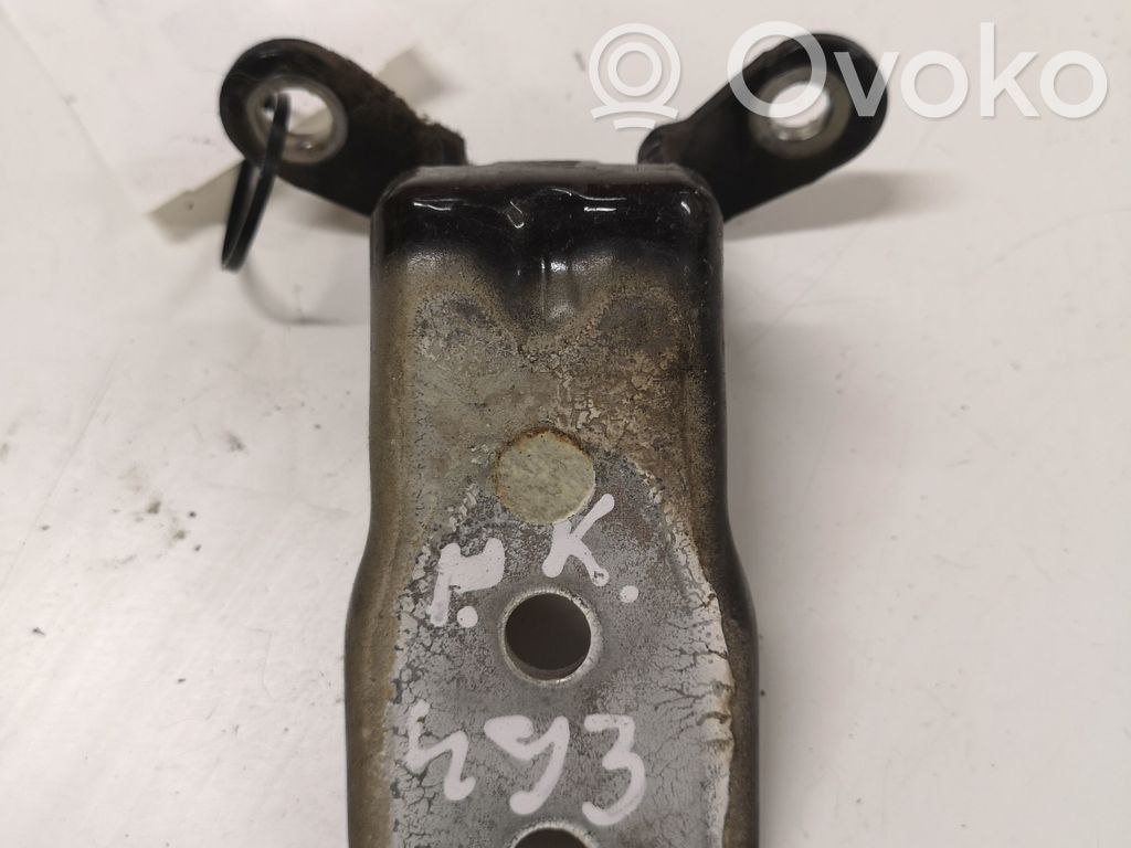 Opel Antara Front door lower hinge 