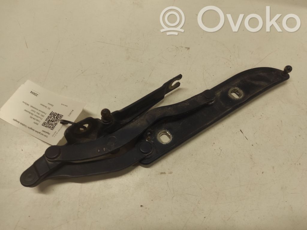 BMW 3 E46 Bisagra del maletero/compartimento de carga 