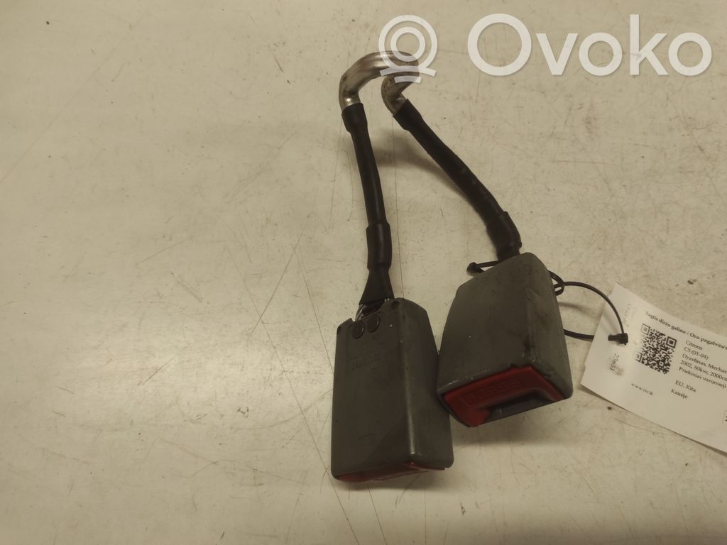 Citroen C5 Sagtis diržo galine 