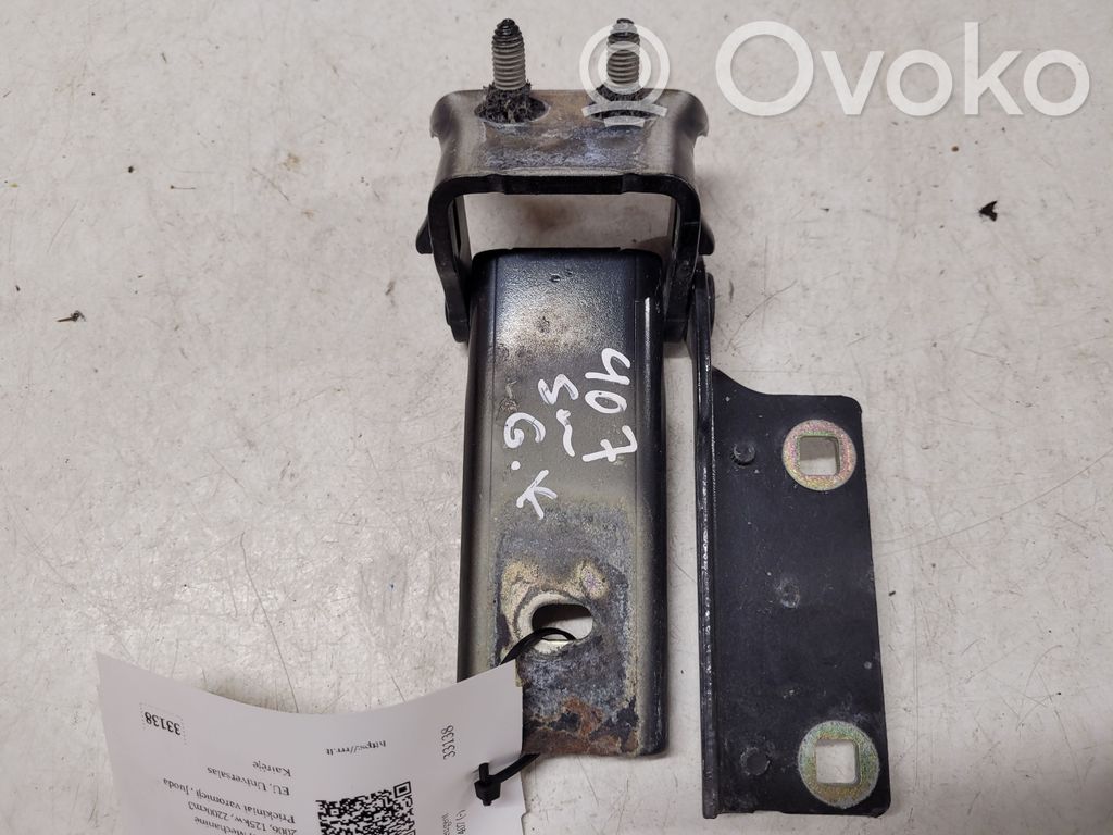 Tailgate/trunk/boot hinge