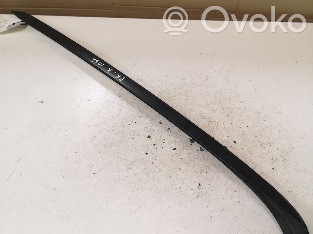 Windshield trim   717926303