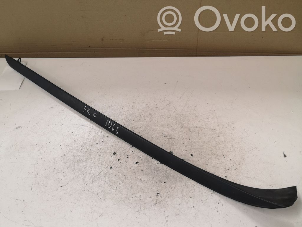 Windshield trim   717926403