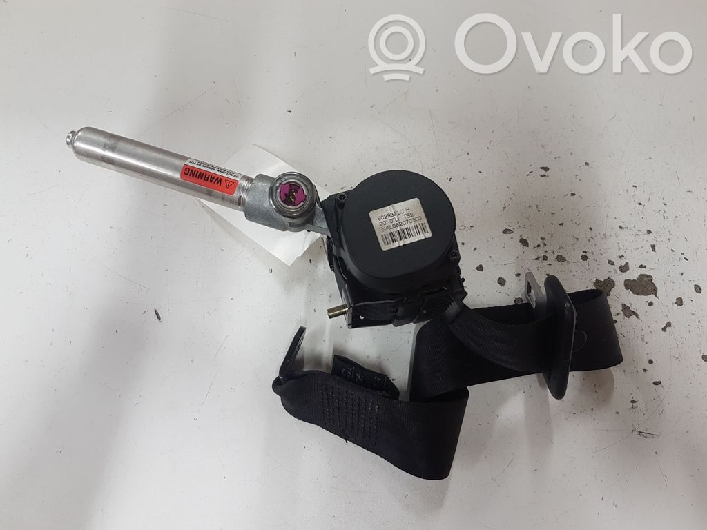 Volvo V50 Cinturón trasero 