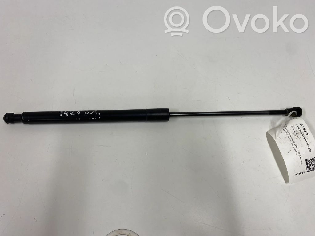 Citroen C3 Tailgate/trunk strut/damper 