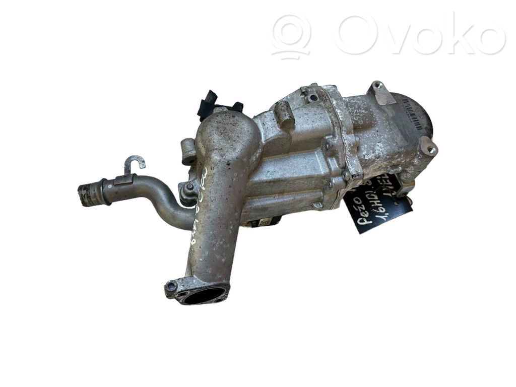 Peugeot 3008 I Zawór EGR 