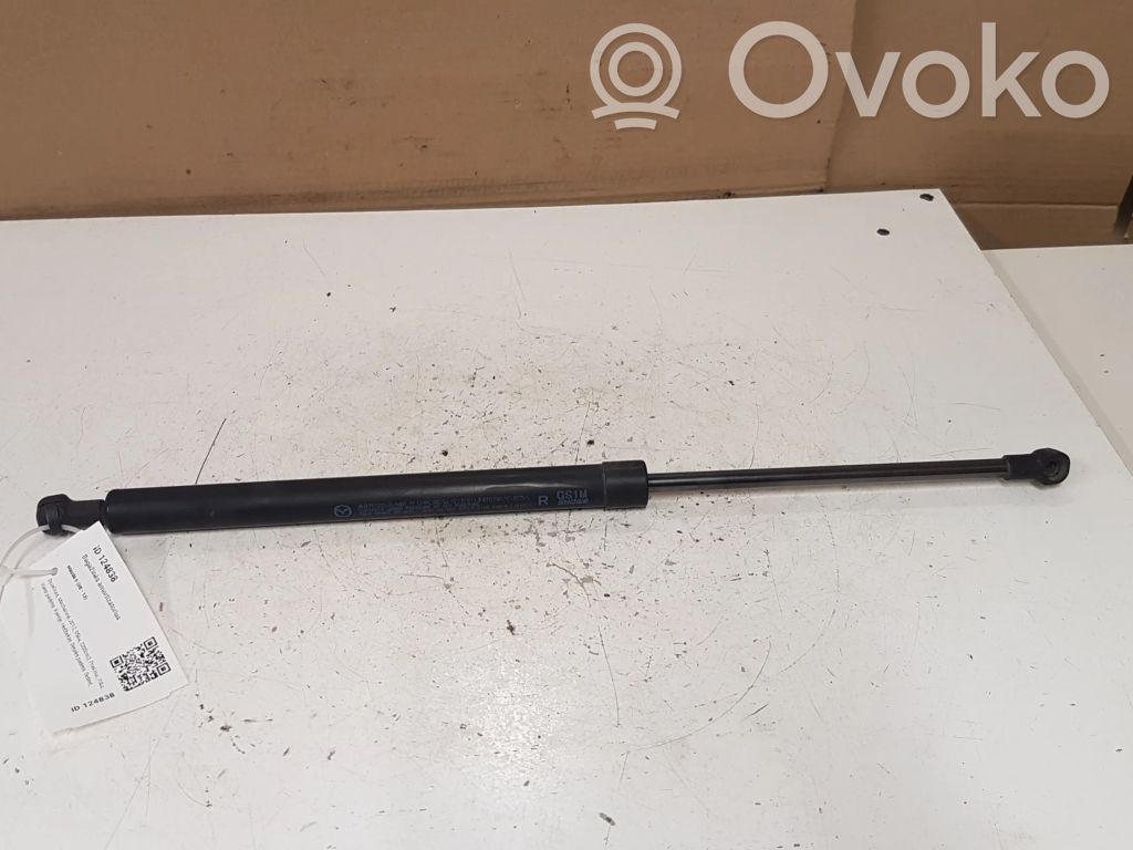 Tailgate strut   11E16C2,GS1M