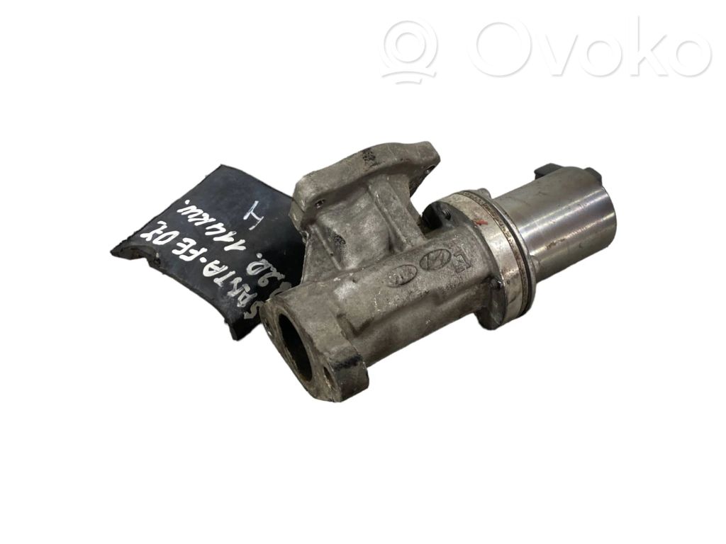 Hyundai Santa Fe Valvola EGR