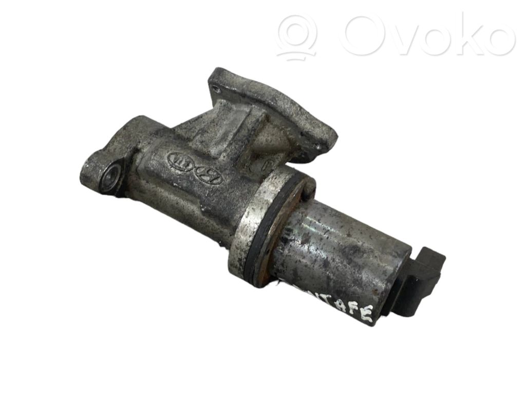 Hyundai Santa Fe Valvola EGR