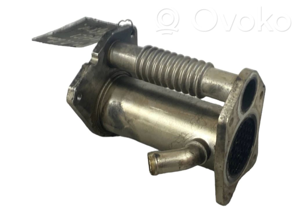 Renault Clio III Valvola di raffreddamento EGR 