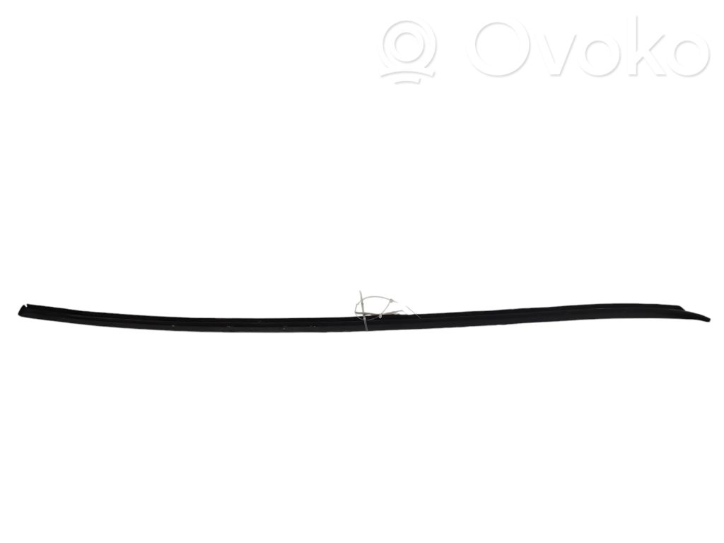 Volkswagen PASSAT B6 Ornament parbriz