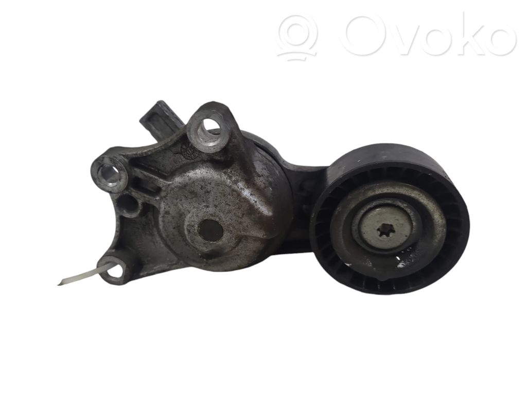 Peugeot 508 Tendicinghia generatore/alternatore