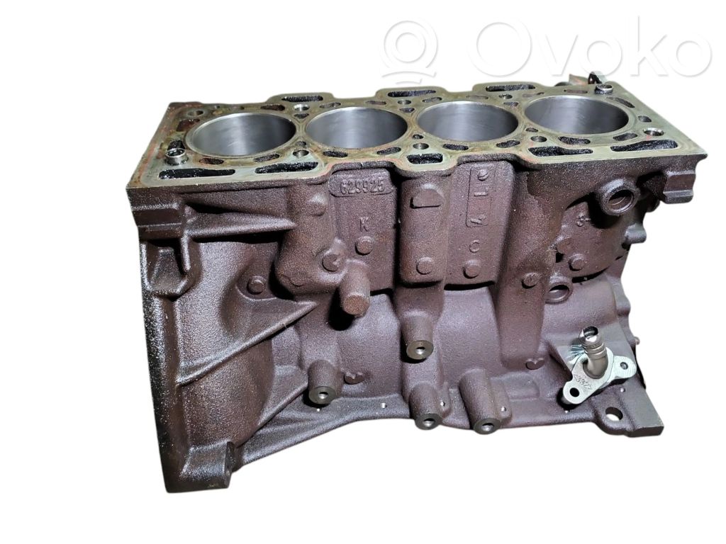 Nissan NV200 Motorblock 