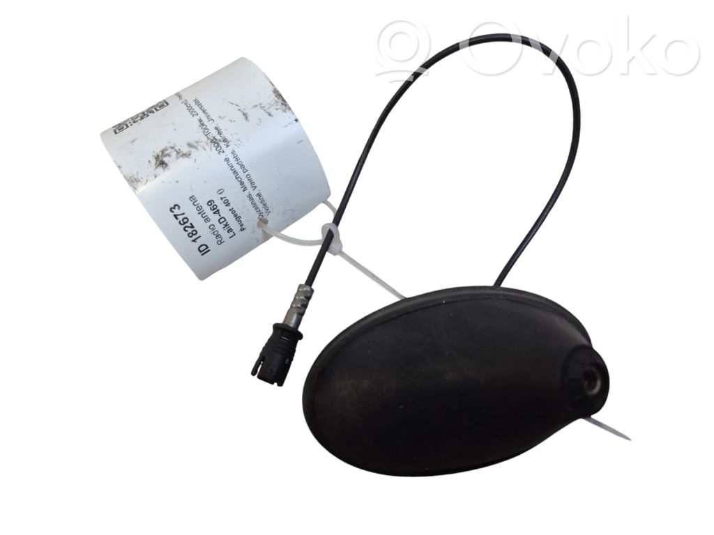 Peugeot 407 Antenna autoradio