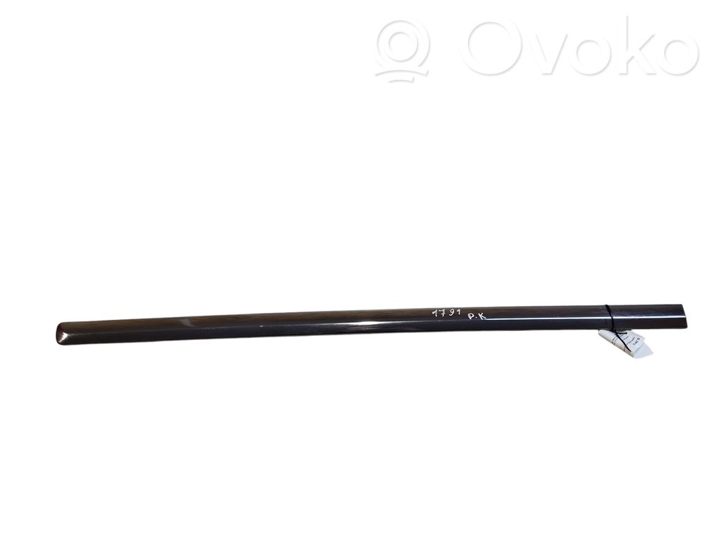 Citroen C5 Rivestimento della portiera anteriore (modanatura) 