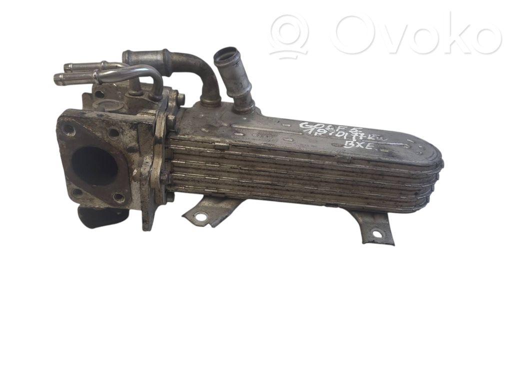 Seat Toledo III (5P) Valvola di raffreddamento EGR