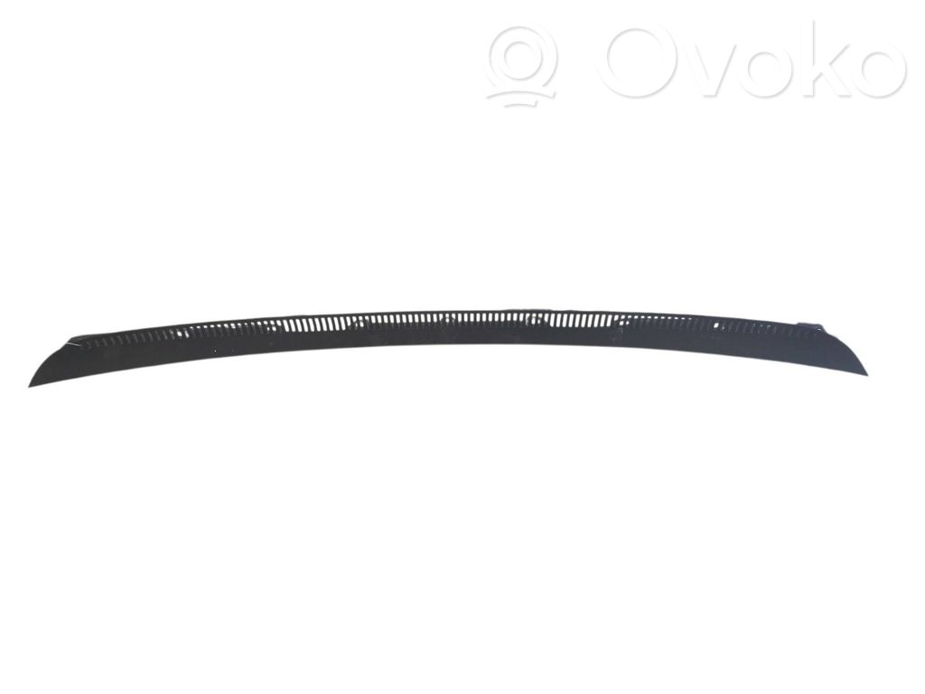 Moldura del limpia   30799651