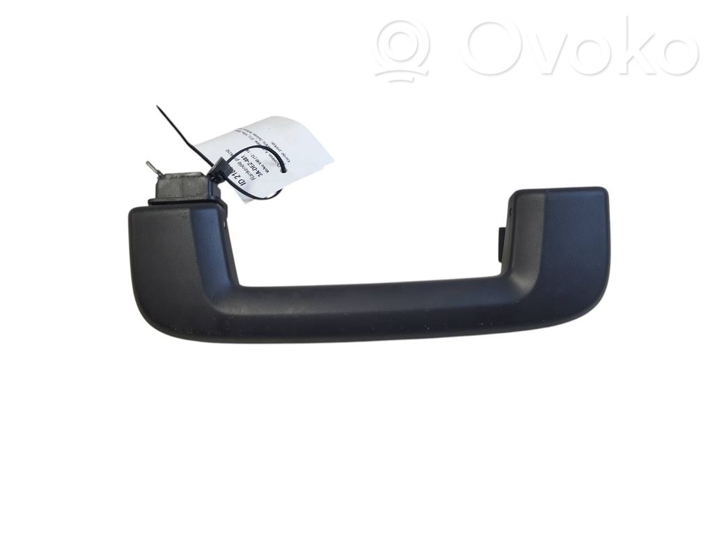 Haltegriff vorne   31305679