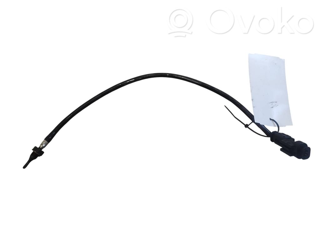 Exhaust gas temperature sensor   794202