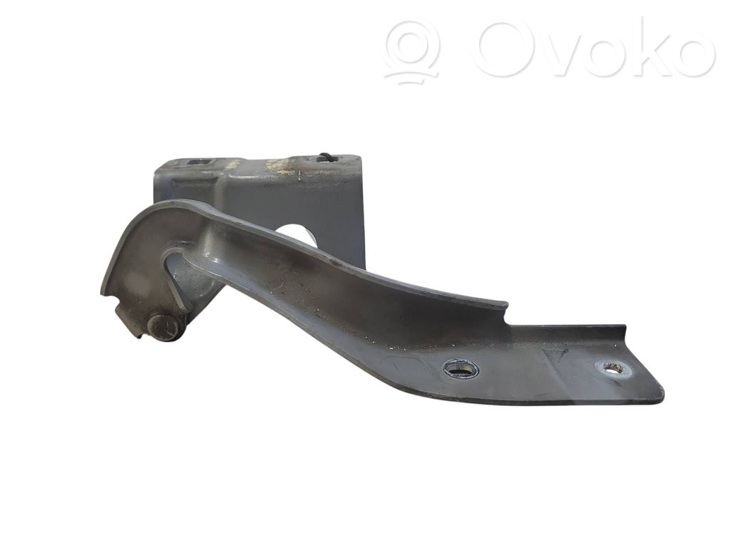 Renault Koleos I Engine bonnet/hood hinges 