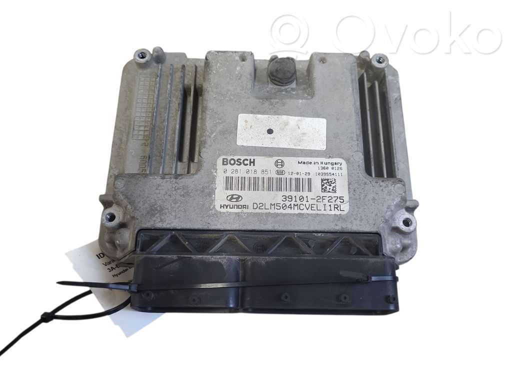 Engine control unit/module   0281018851,391012F275