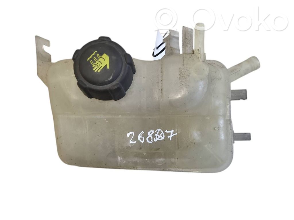 Renault Megane III Serbatoio di compensazione del liquido refrigerante/vaschetta