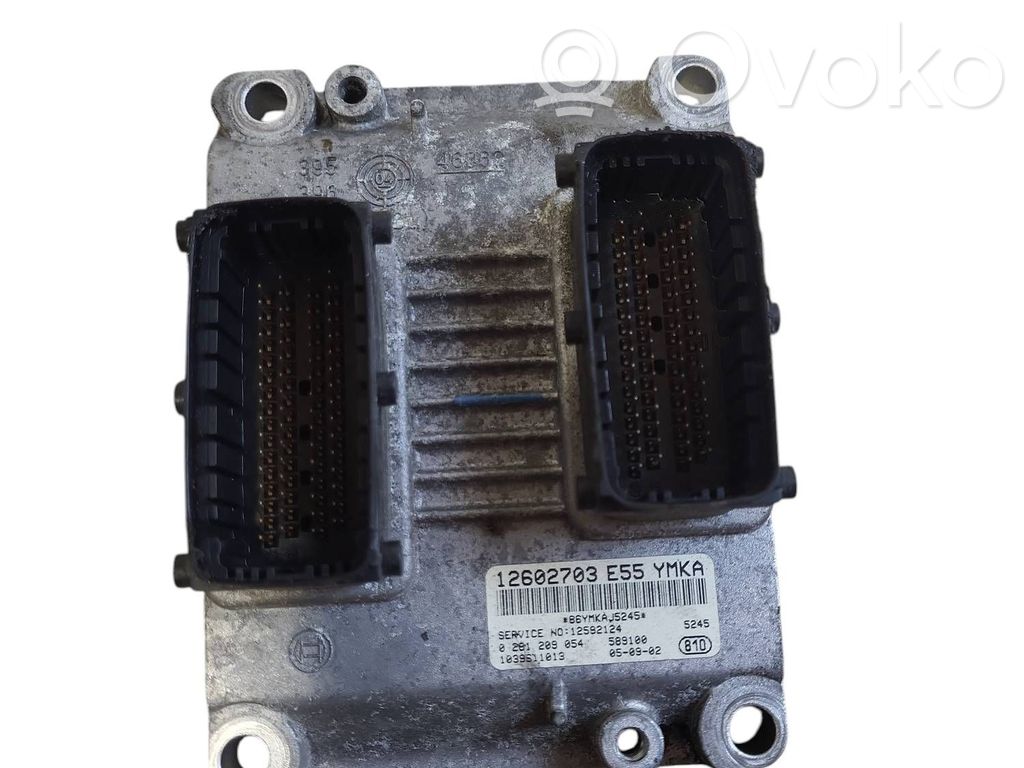 Sterownik / Moduł ECU   12602703,12592124,0261209054