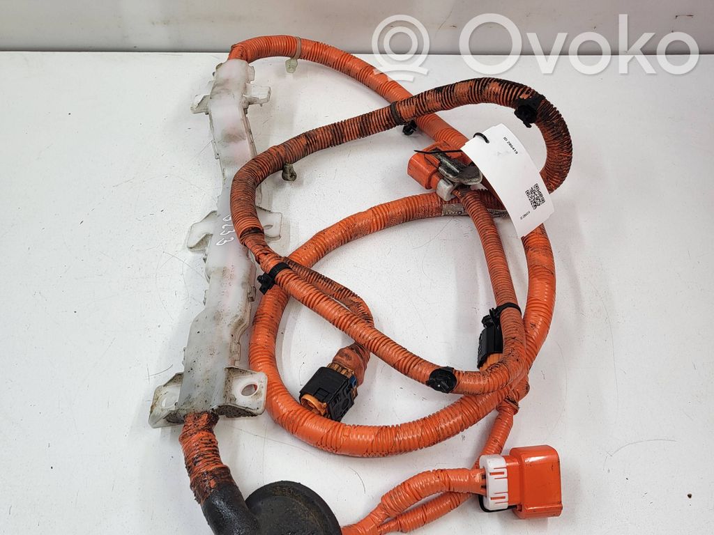 Nissan Leaf I (ZE0) Otros cableados