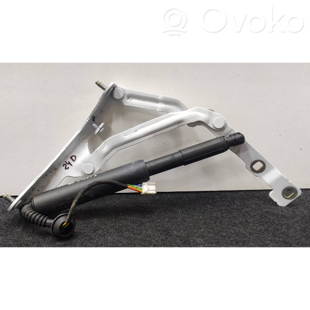 Tesla Model 3 Tailgate/trunk strut/damper 